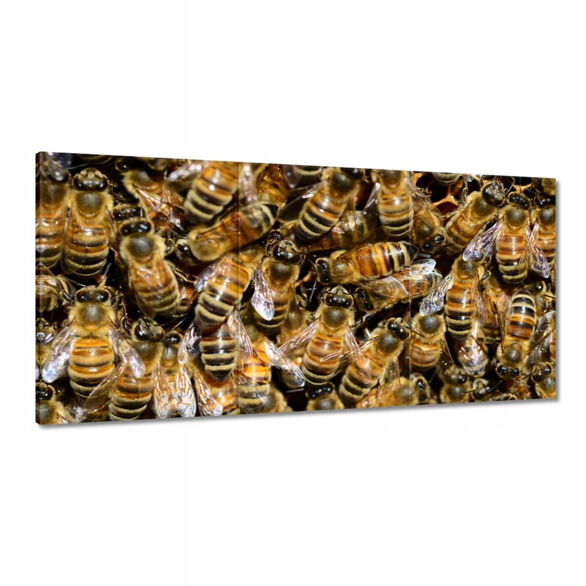 Obrazy 180x90 Včielky počas práce