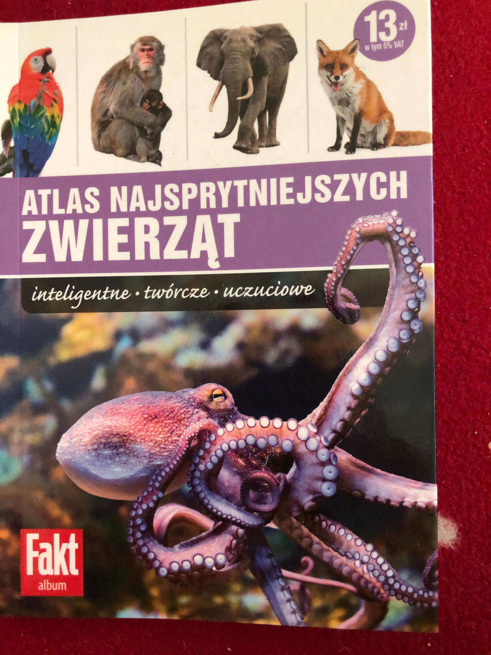 Atlas najsprytniejszych zwierząt ptaki ssaki owady