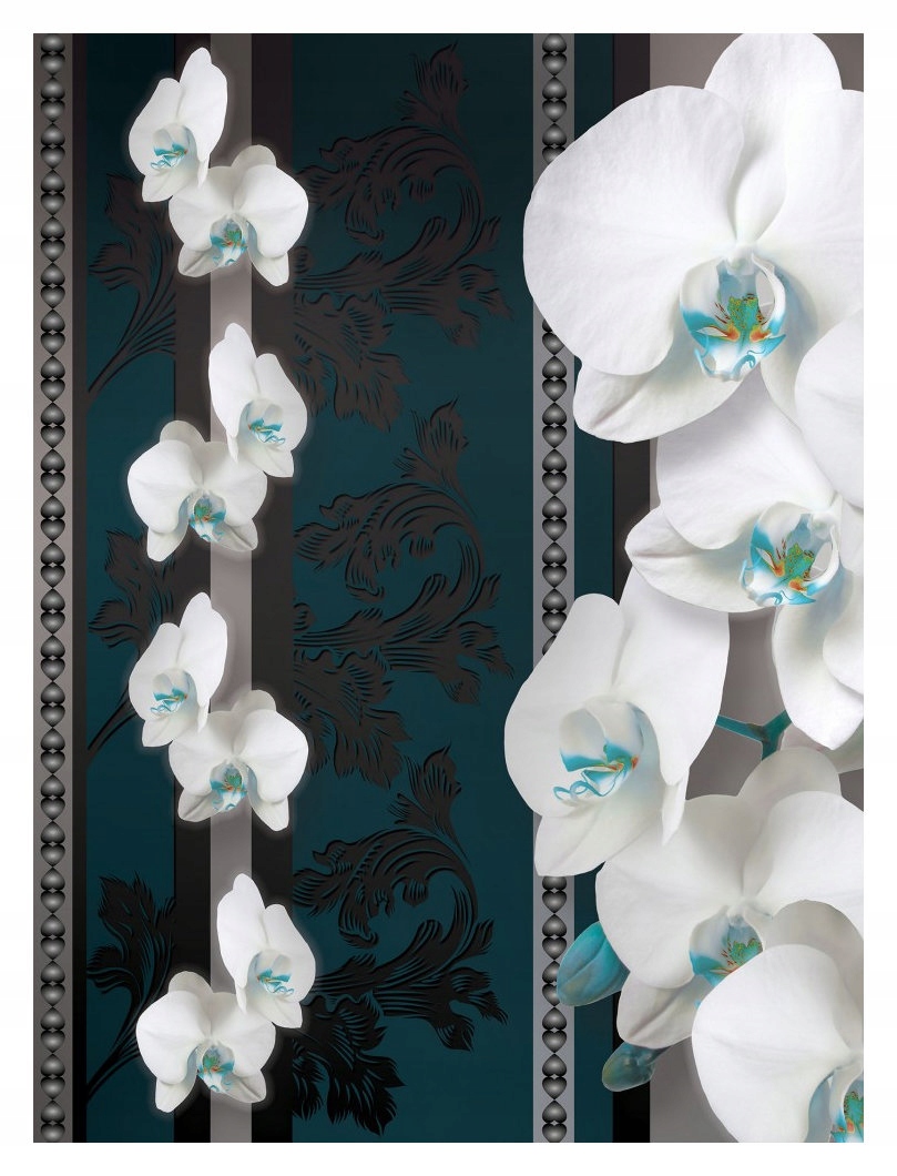 Fototapeta biele orchidey na tmavom pozadí vinylová 184x254 lepidlo