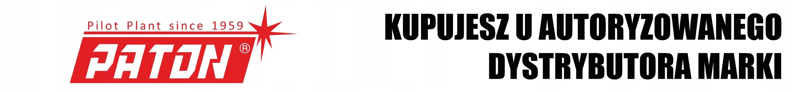 SPAWARKA INWERTEROWA PATON STANDARD MIG 160 MMA Czas cyklu pracy 45%