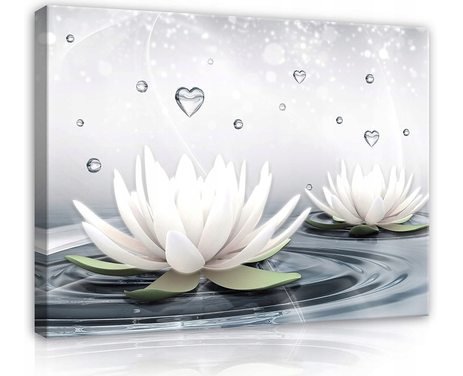 Obraz 120x80 Lotos voda klid harmonie čistota příroda relaxace