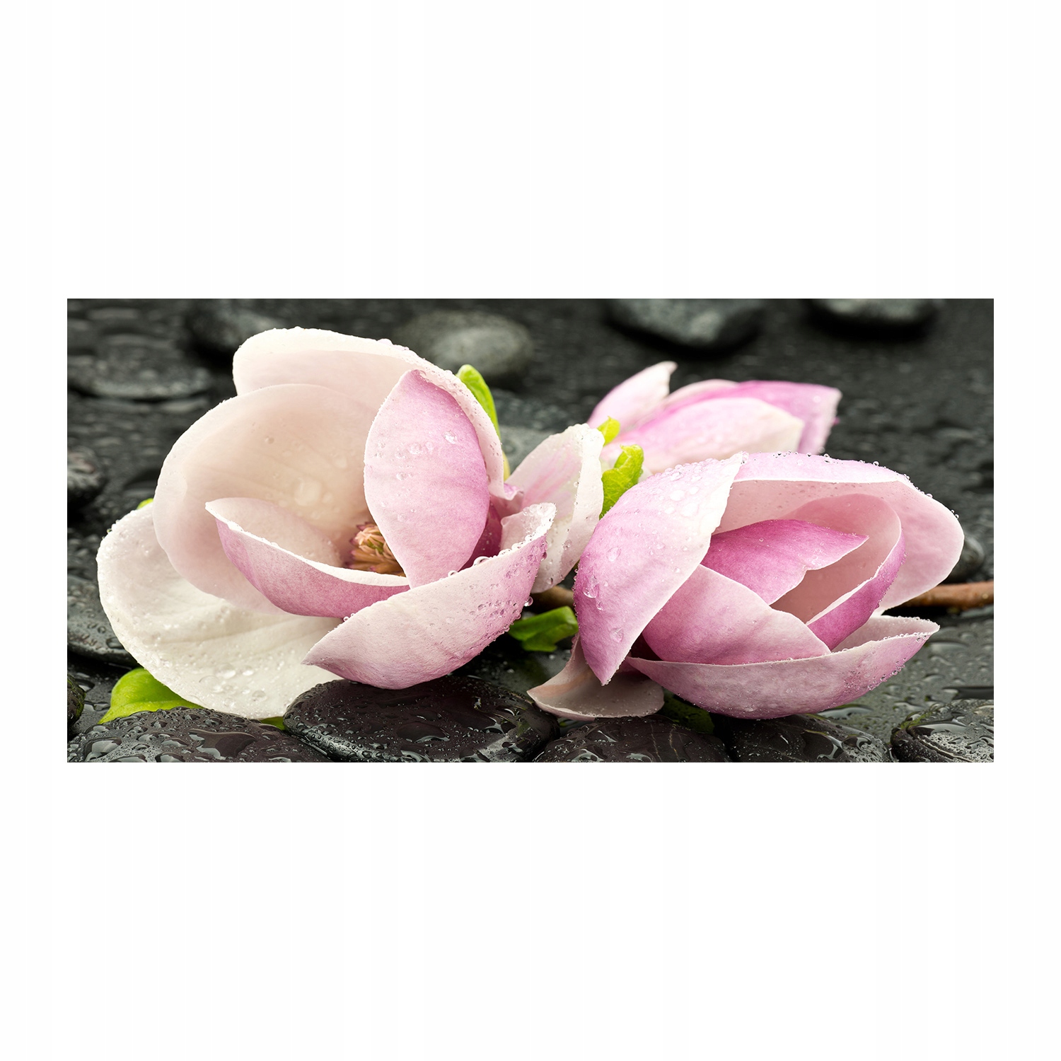 

Foto obraz szklany Magnolia kamień zen 140x70