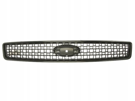 Atrapa Chłodnicy Grill FORD FUSION 05- BLIC 6502-07-2576991P