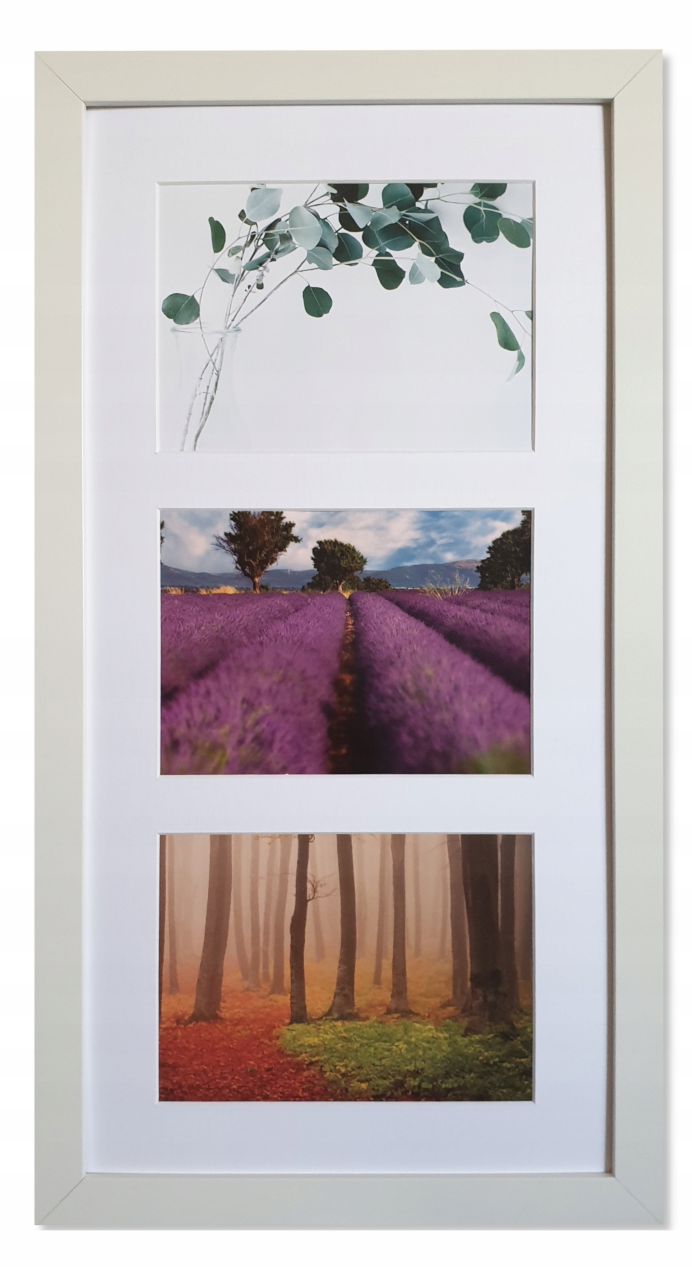 

Galeria 3 zdjęcia 15X20 rama i Passe-partou Ninabk