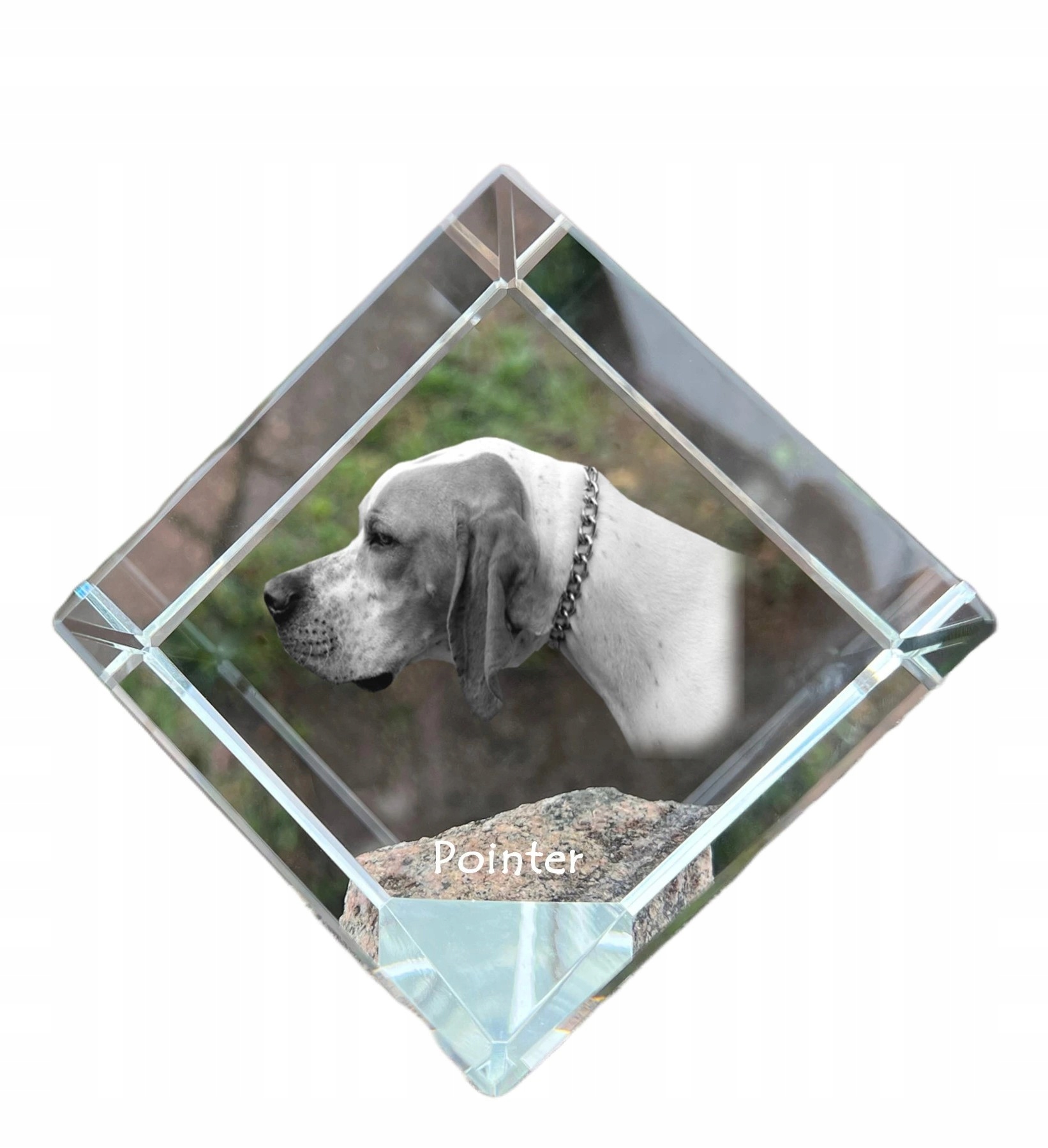 Pointer krištáľová kocka s fotografiou psa, personalizovaná ozdoba na stôl