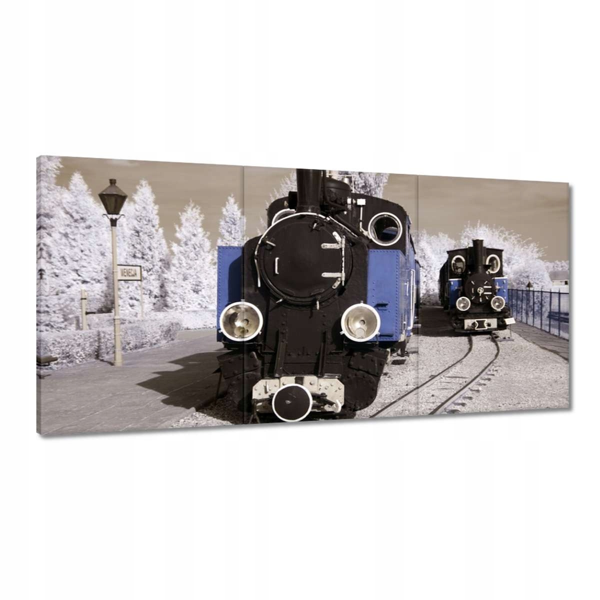 Obrazy 180x90 Úzkorozchodná železnica