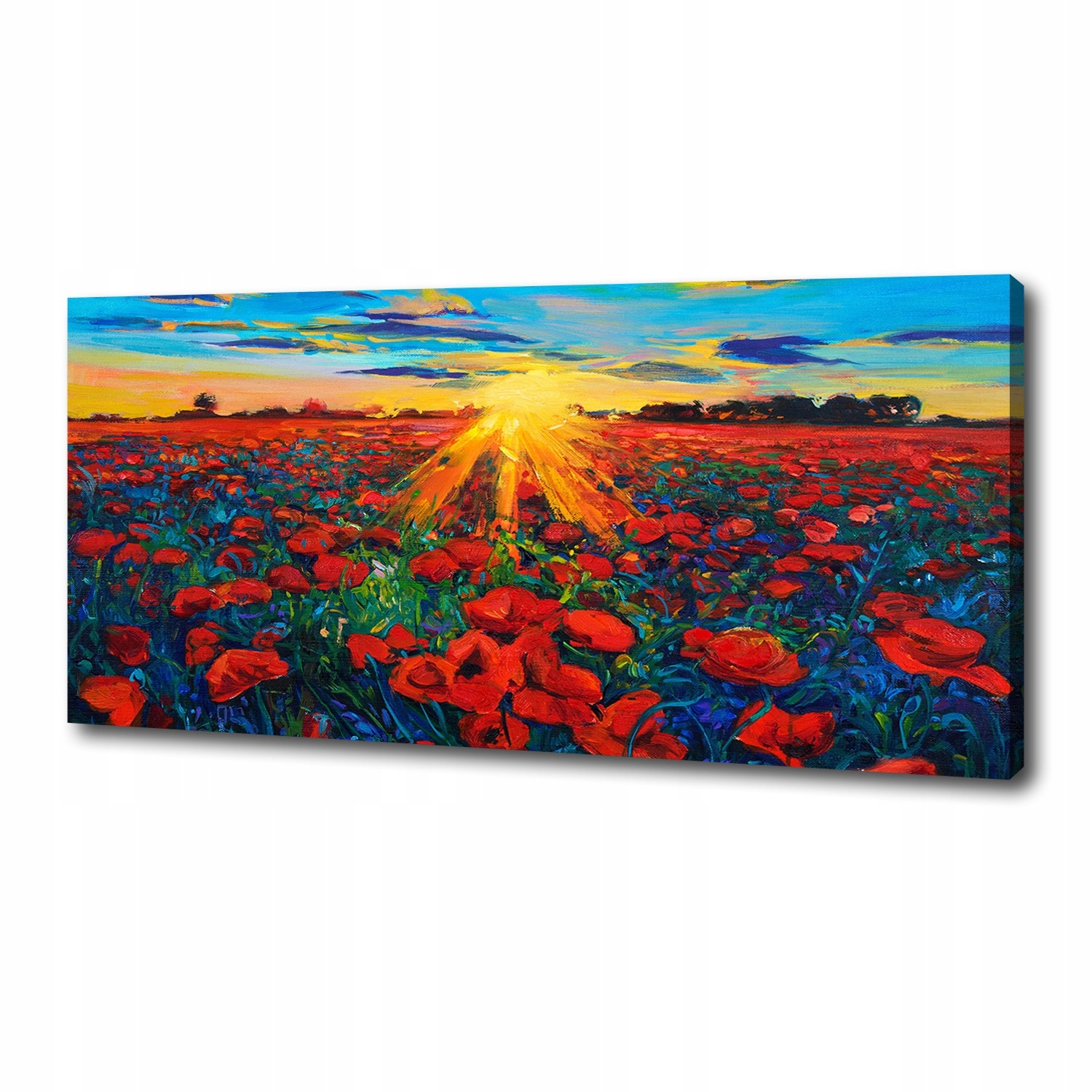 

Foto obraz canvas na ścianę Pole maków 125x50 cm