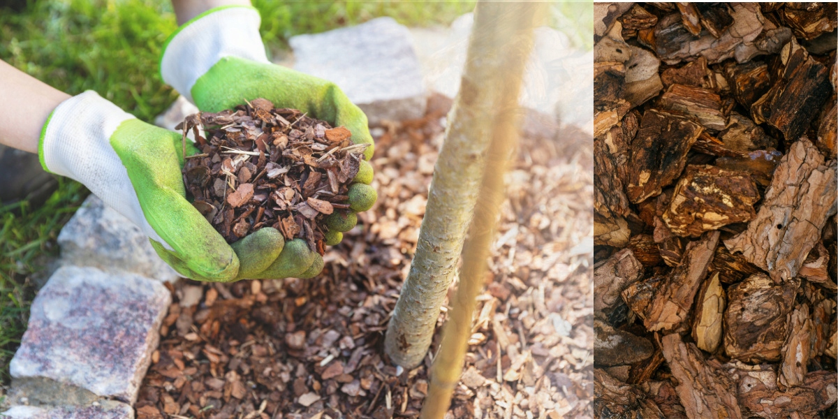 KORA SOSNOWA OGRODOWA WOREK 20L | RĘCZNY SORT | GRUBA OZDOBNA | Kod producenta KORA SOSNOWA PREMIUM