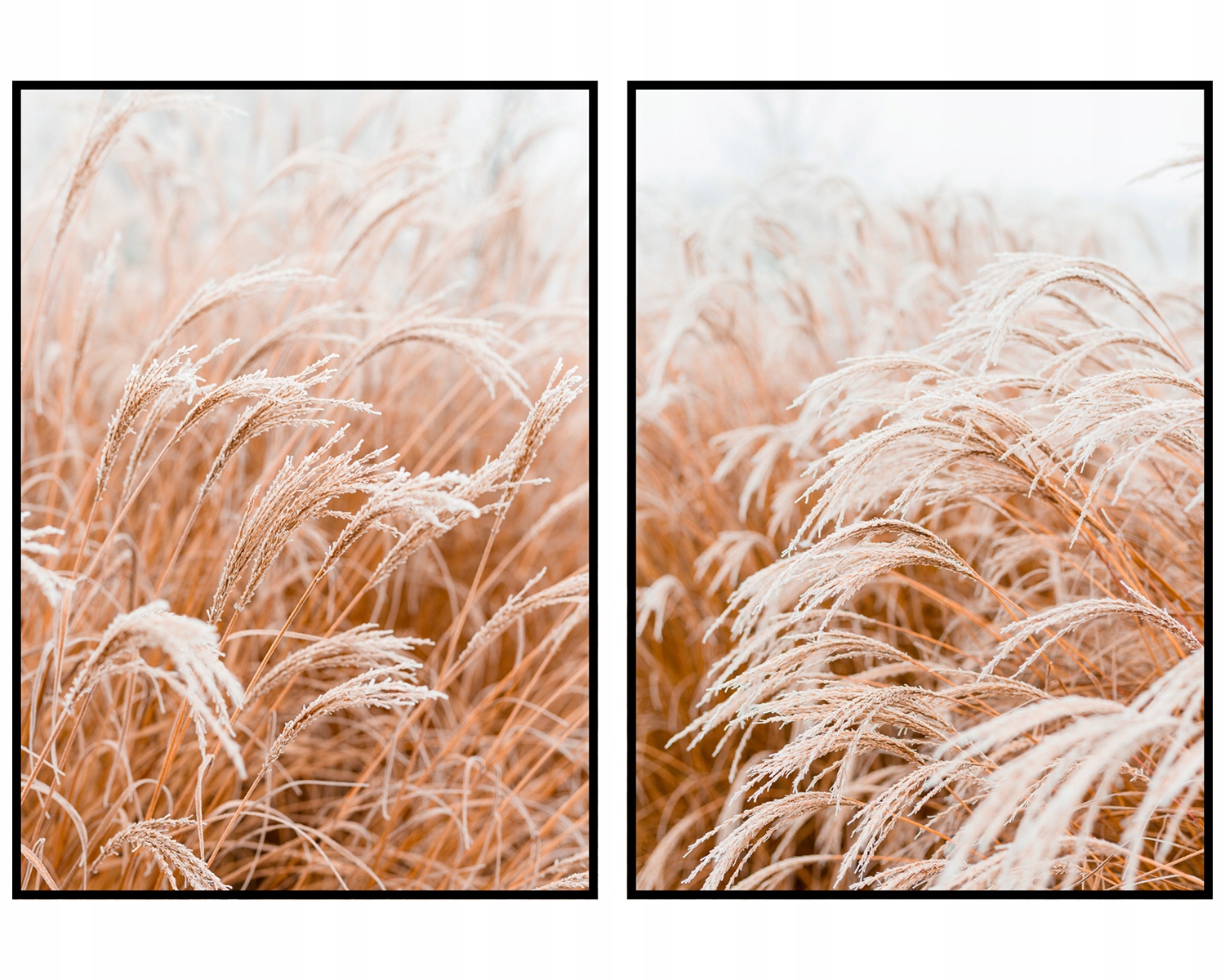 Skandinávské plakáty obrazy 2ks tráva 60x90 cm