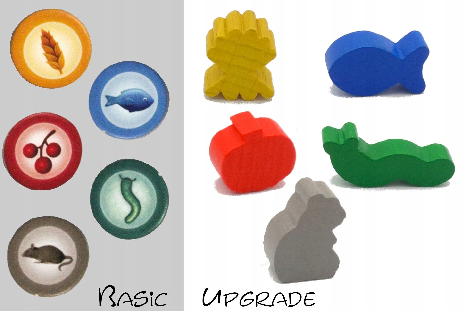 Zestaw zamiennych elementów do Na Skrzydłach (Ptaki Europy)