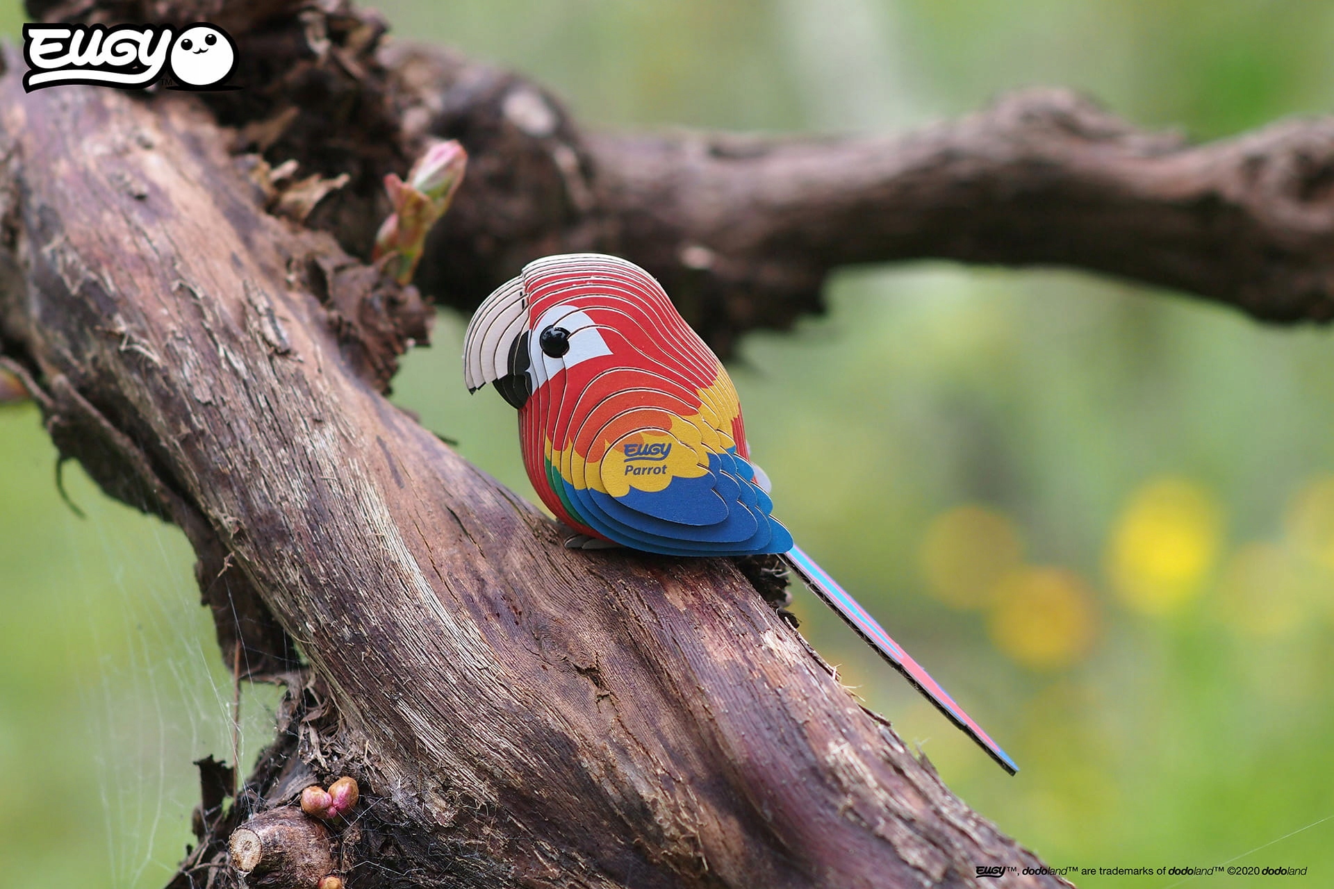 PAPUGA EKO UKŁADANKA PUZZLE 3D EUGY Materiał karton