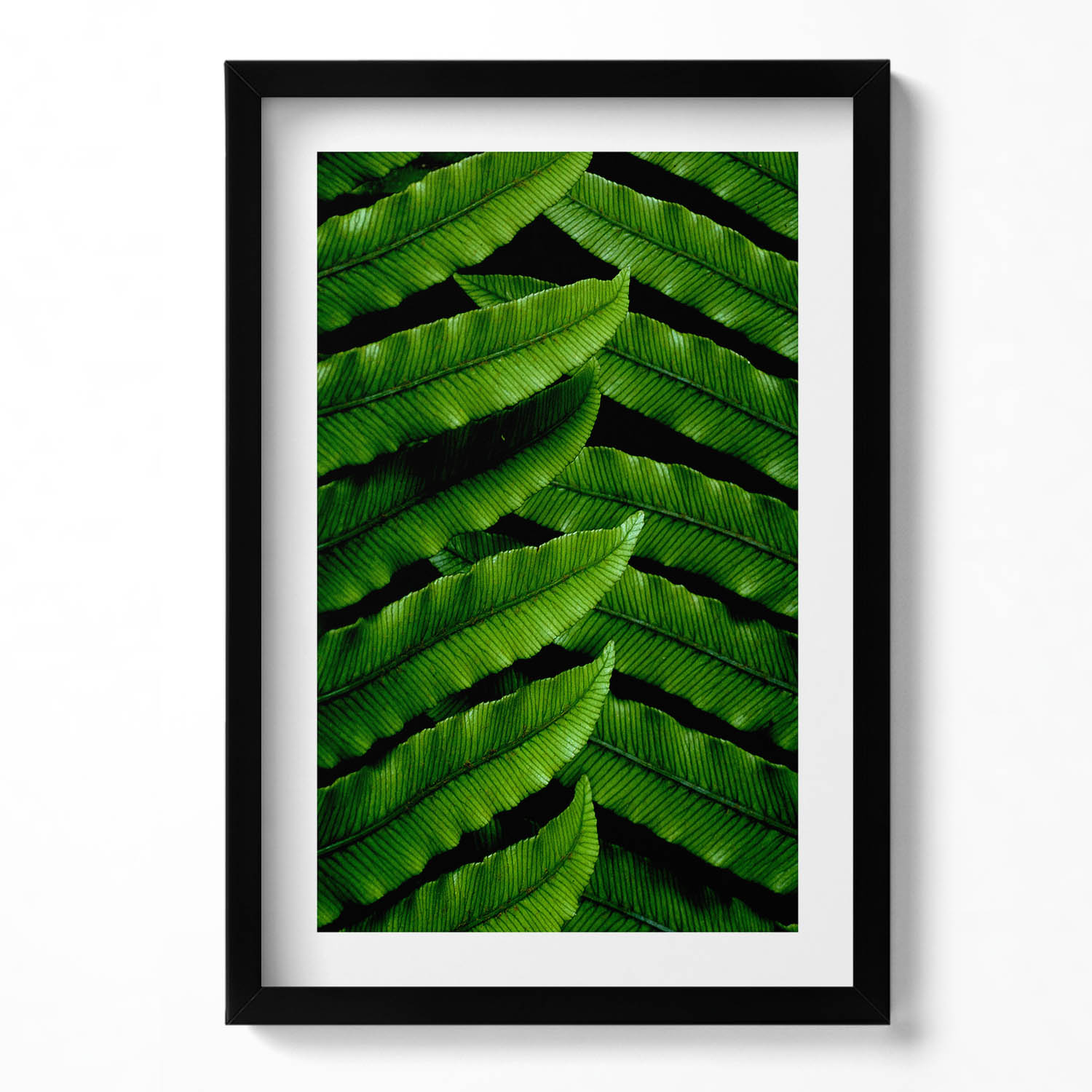 Obraz v černém rámu, dekorace na zeď Zelené listy, přiblížení 40x60 cm
