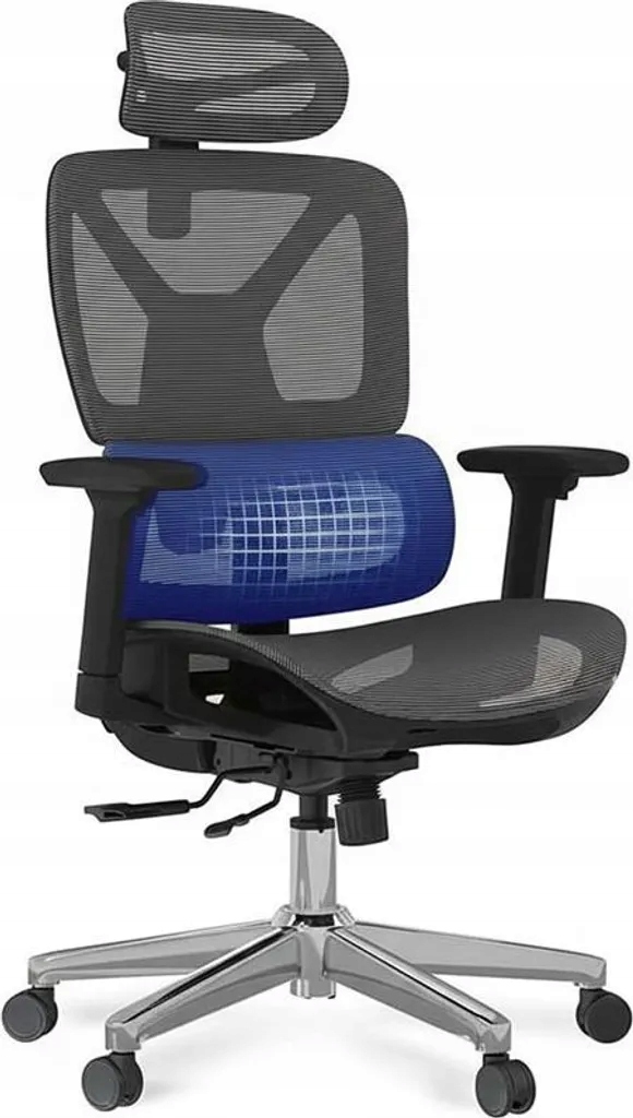 Krzesło Komputerowe Ergonomiczne Flexispot CTDG-LITE-PRO-V2 Fotel Siatkowy