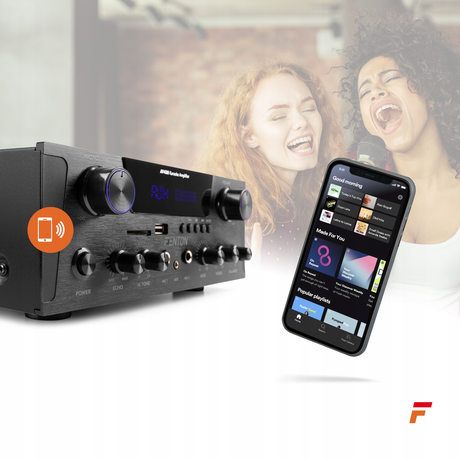 Wzmacniacz HIFI Fenton karaoke 2x300W USB FM BT Pozostałe złącza USB