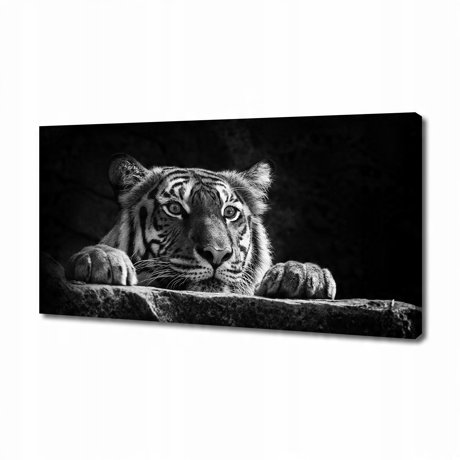 

Foto obraz duży canvas na ścianę Tygrys 140x70 cm