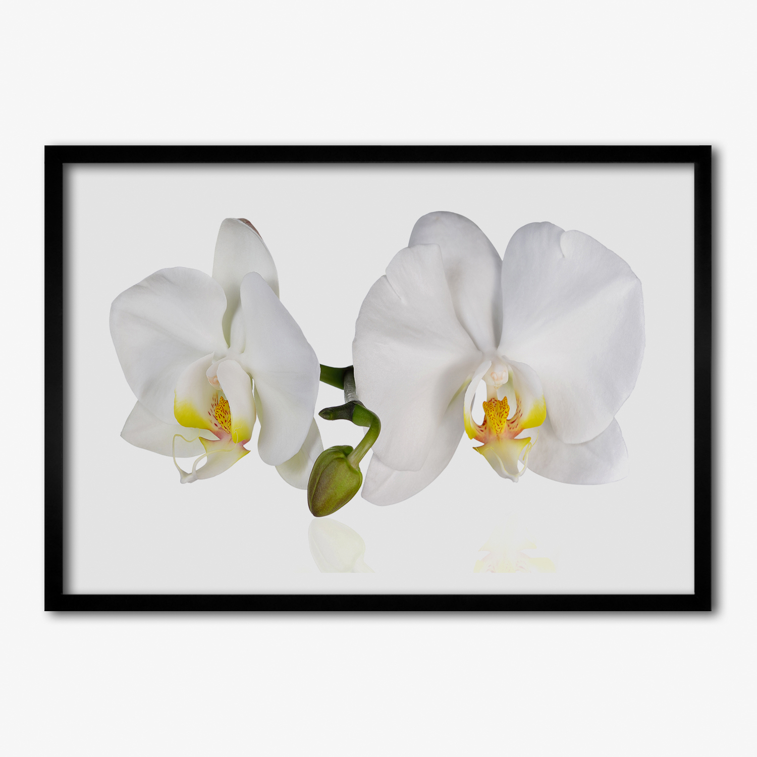 Velký závěsný fotoobraz s Mdf rámečkem Orchidej 100x70