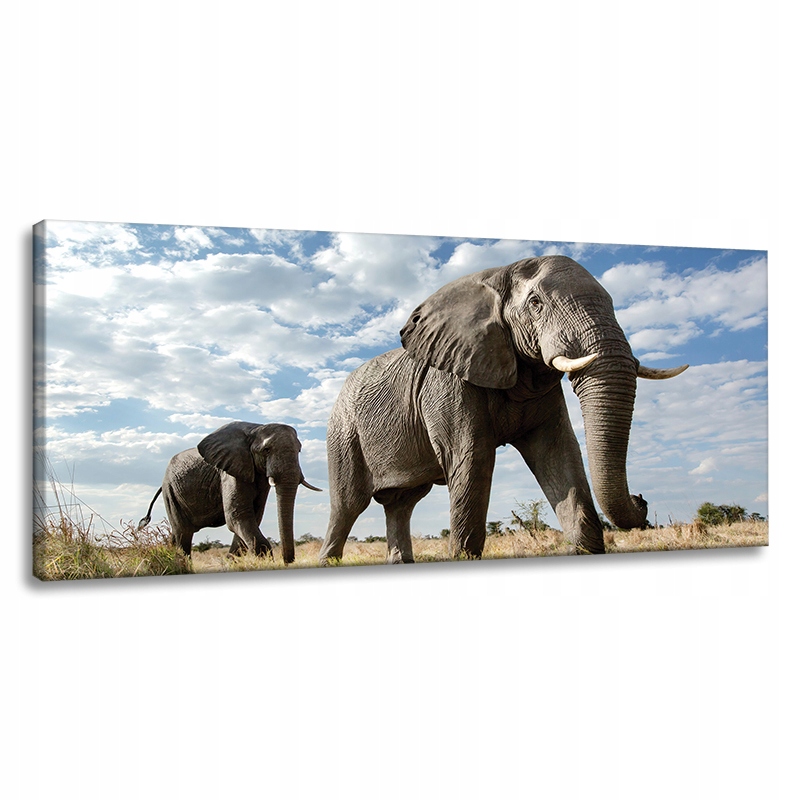 Obraz na plátně Velké šedé slony Afrika Příroda 120x60 cm