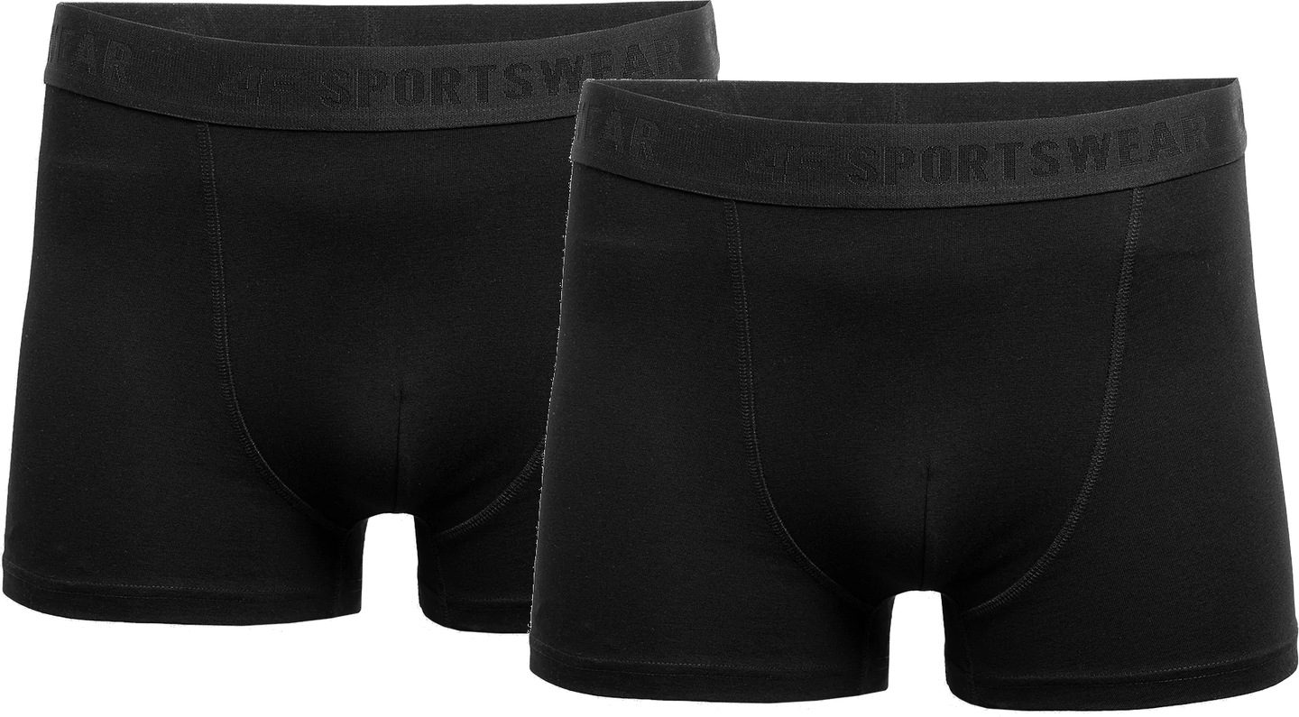 

Bokserki Męskie 4F Bielizna Slipy Majtki 2 Pak M