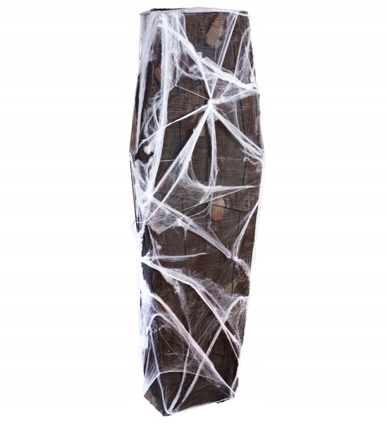 Rakva S Pavučinou Horor Halloween 160 CM