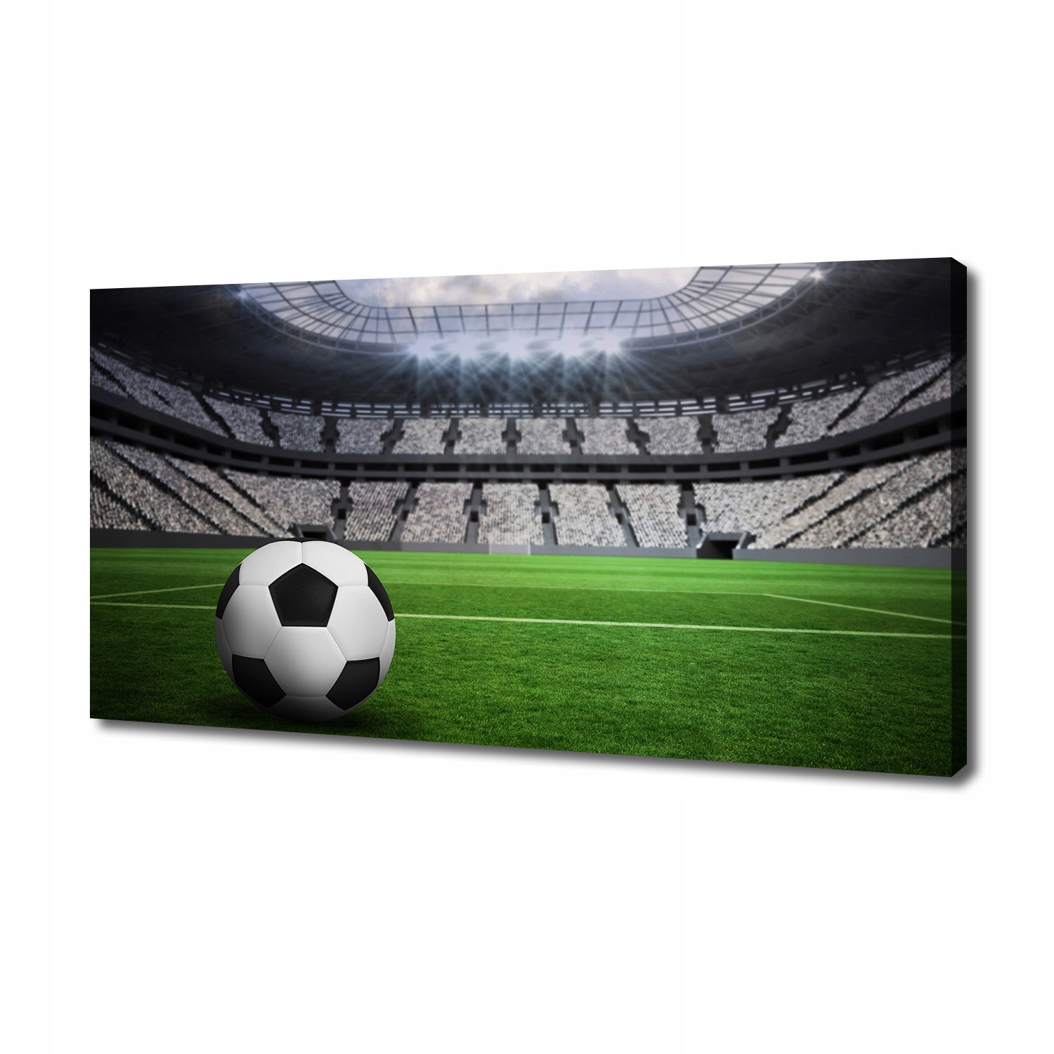 

Foto obraz na płótnie Piłka na stadionie 140x70 cm