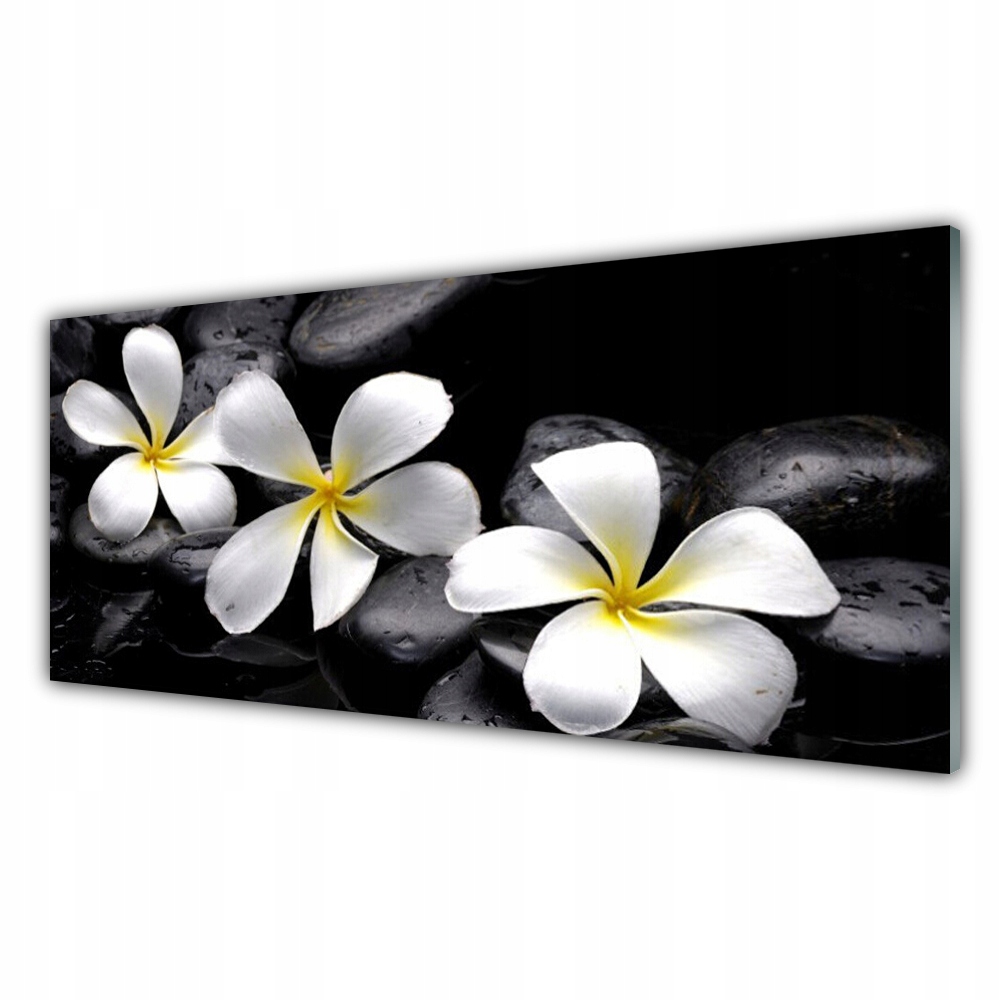 

Obraz akryl ścienny 125x50 Kwiat Plumeria Roślina