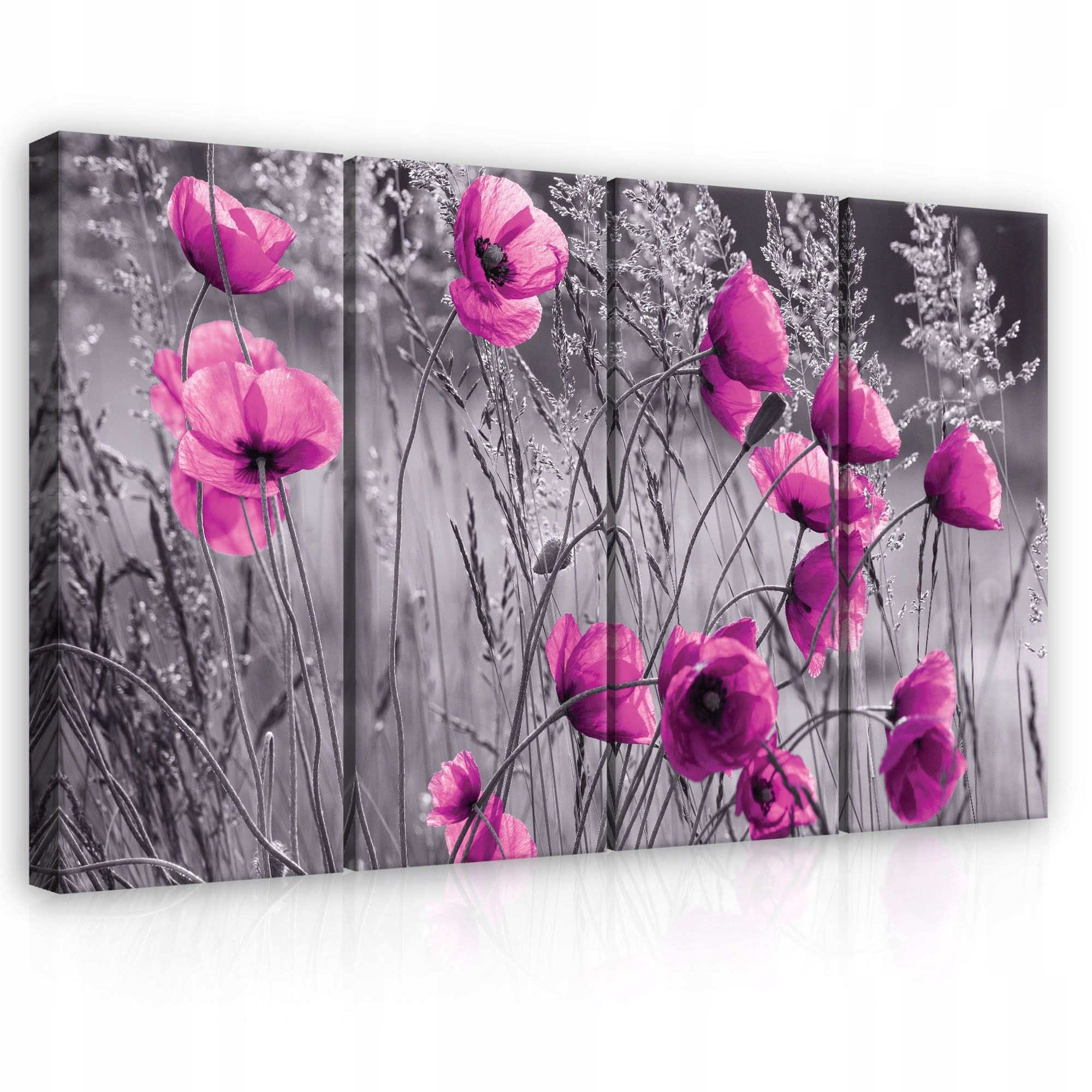 Obraz 120x80 Máky růžové květy černobílé pozadí kontrast dekorace stěn