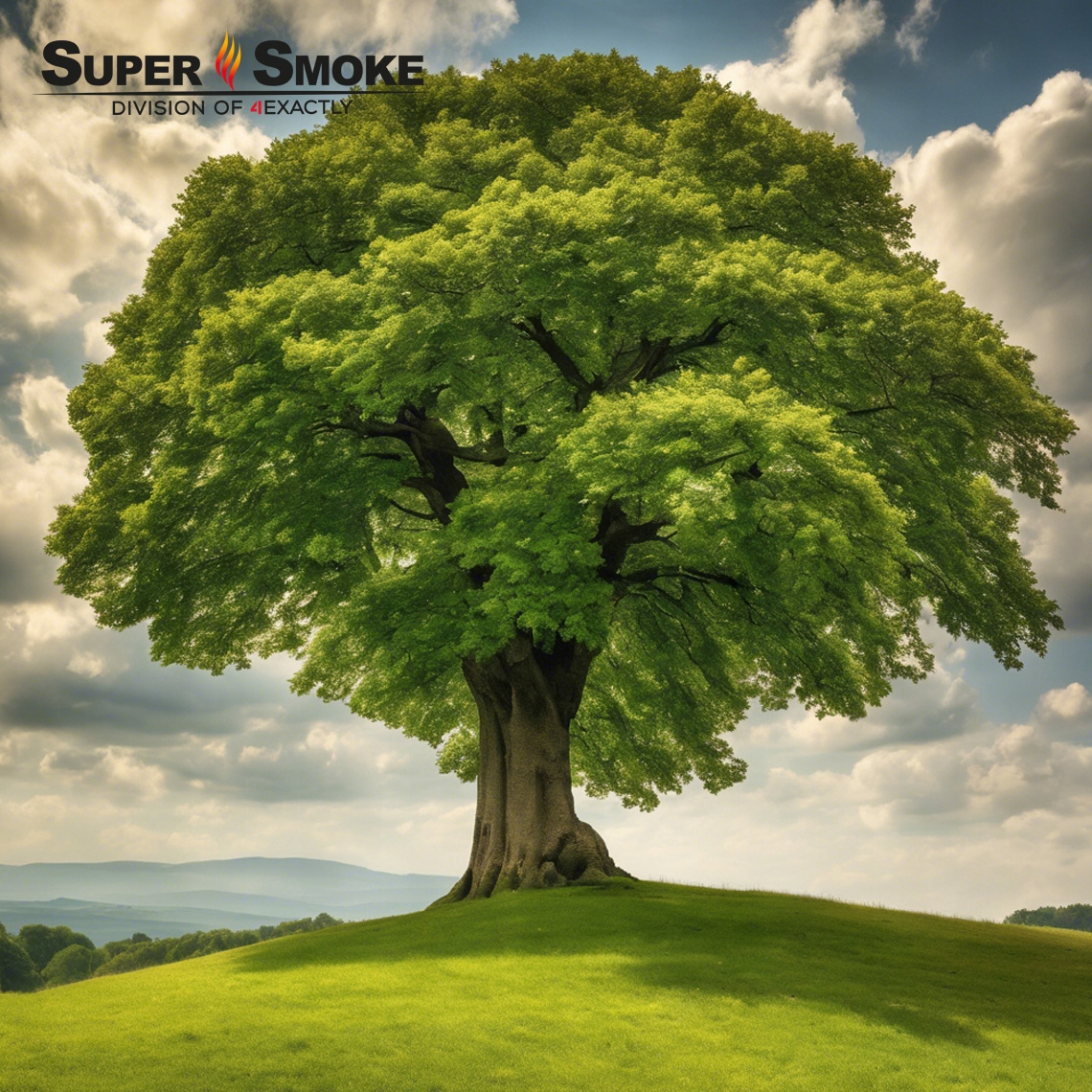 Zrębki Wędzarnicze Super Smoke Olcha+BUK KL-08 (6-8mm) Medium 65 Litrów Pojemność 65 l