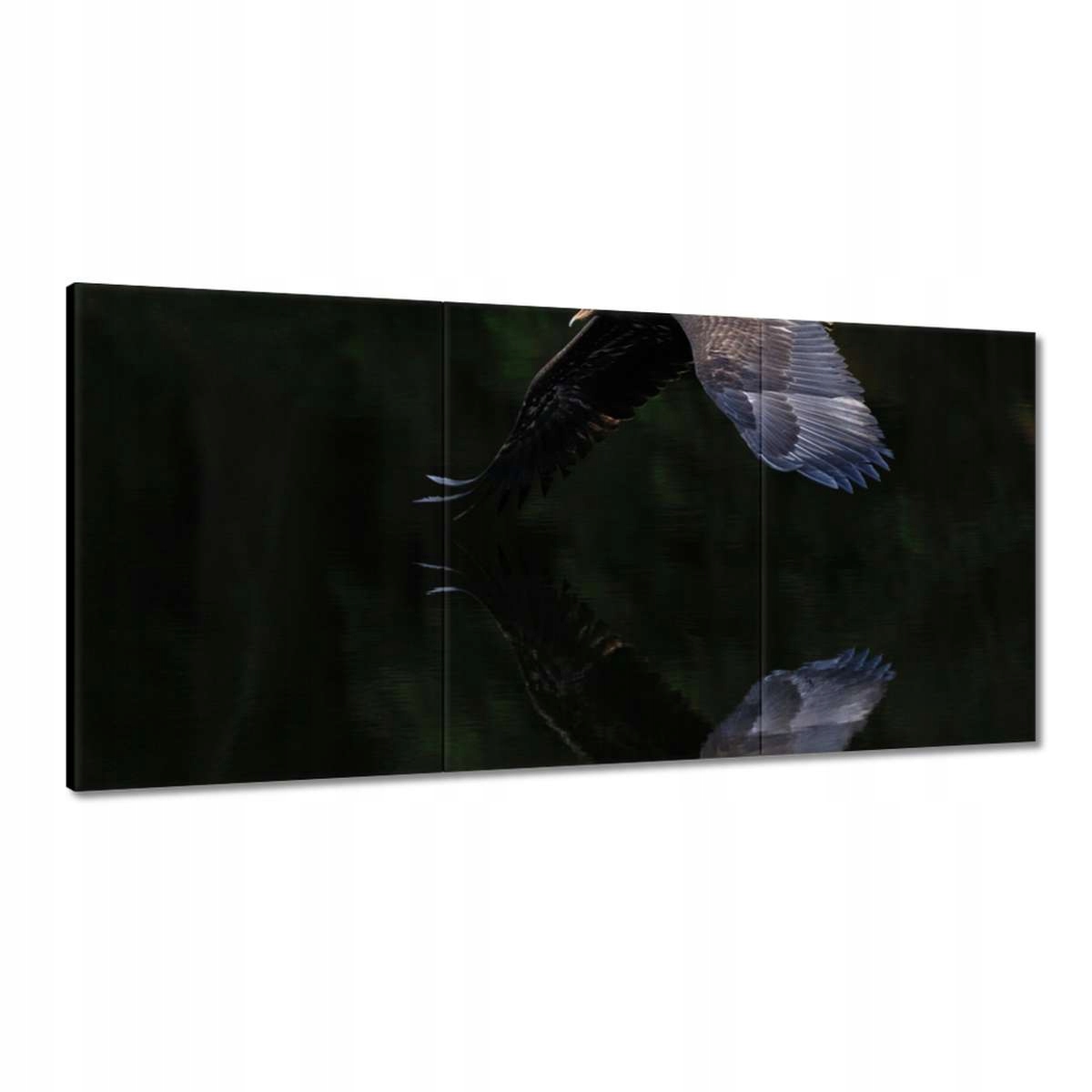 Obrazy 180x90 Vtáky Vtáky