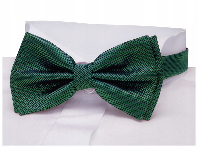 MUSZKA + PUDEŁKO Mucha Męska do Koszuli GREG mz54