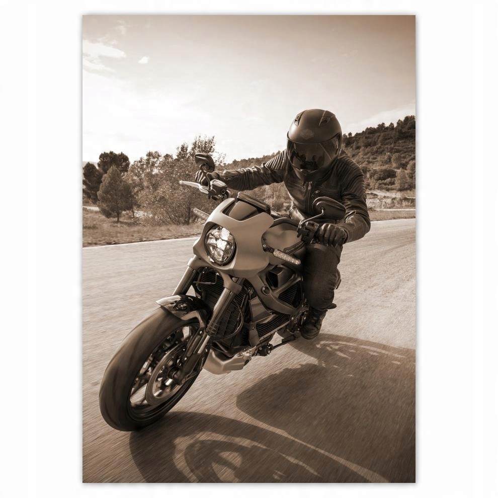 

Naklejki 50x70 Harley Davidson Motocykl