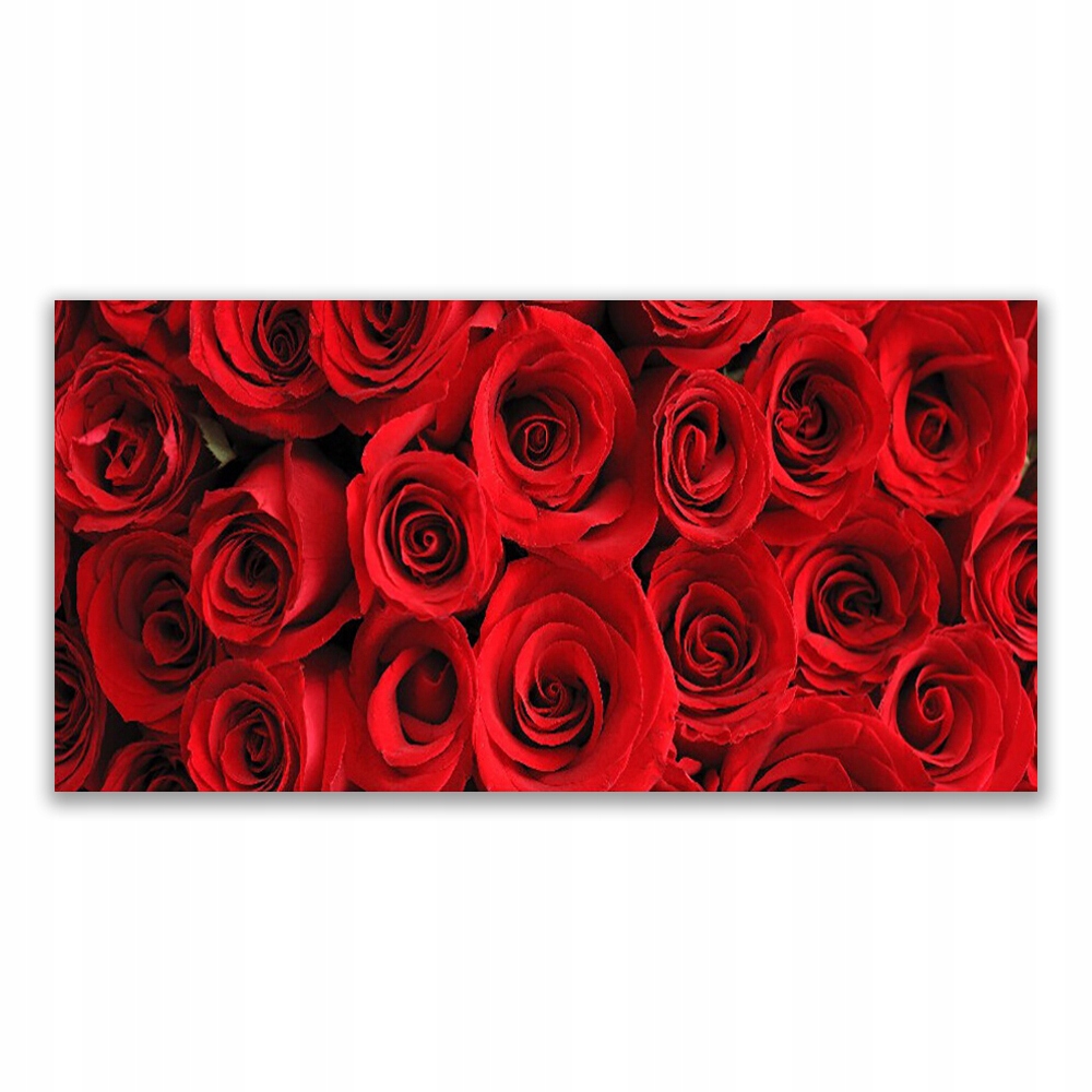 

Obraz akryl na prezent wiszący 140x70 Róże Kwiaty