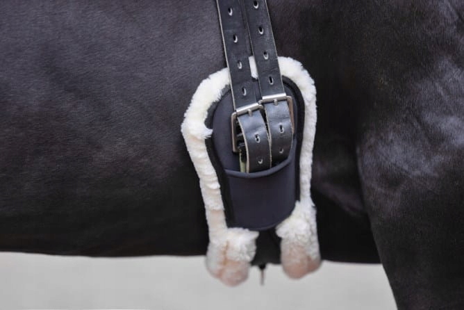 Popręg ujeżdżeniowy Covalliero anatomiczny z futerkiem czarny 55 Dr