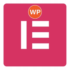 Elementor PRO + Bonus Extras For Elementor Rodzaj skrypty