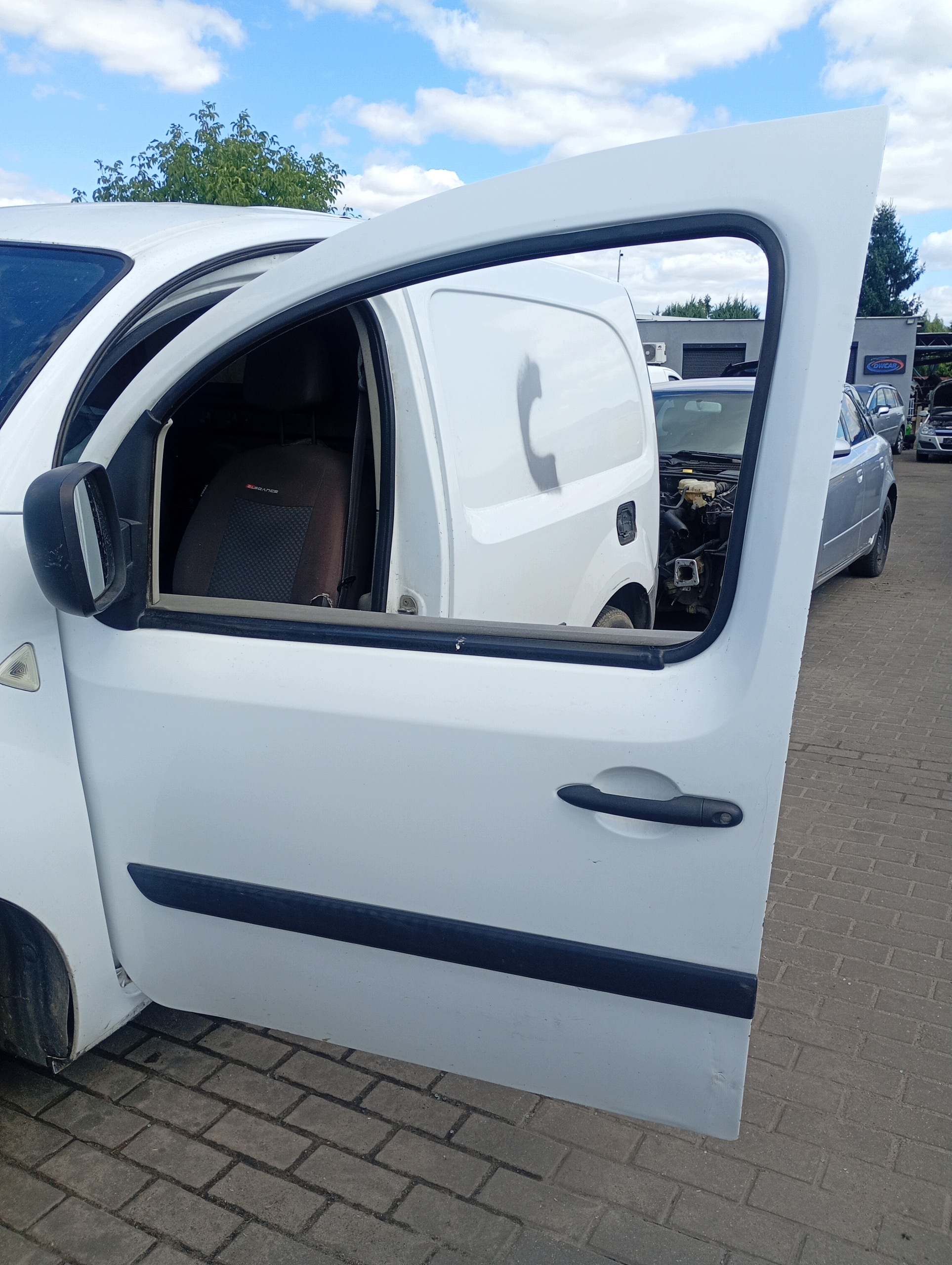 door left front front Renault Kangoo 2 II 08-21 kod lakieru 0389