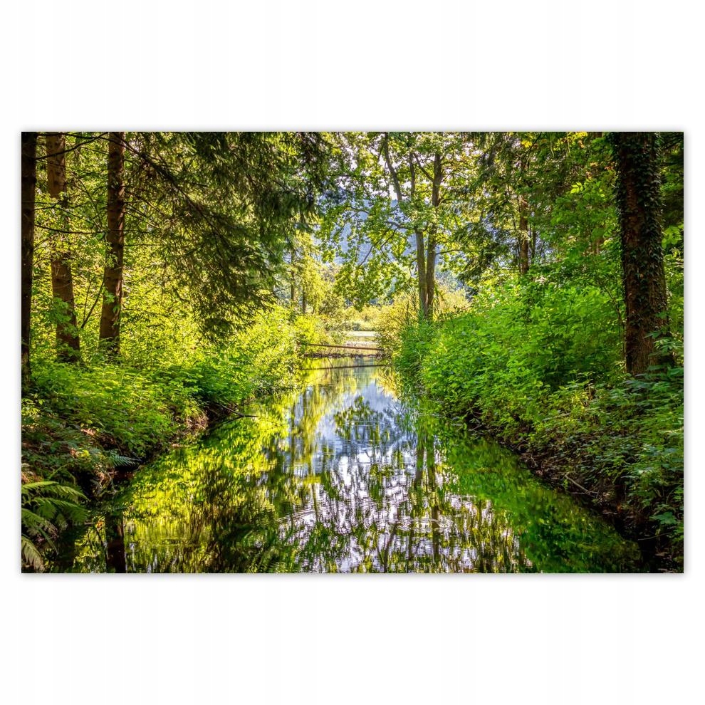 

Plakat 60x40 Rzeczka Piękna pogoda