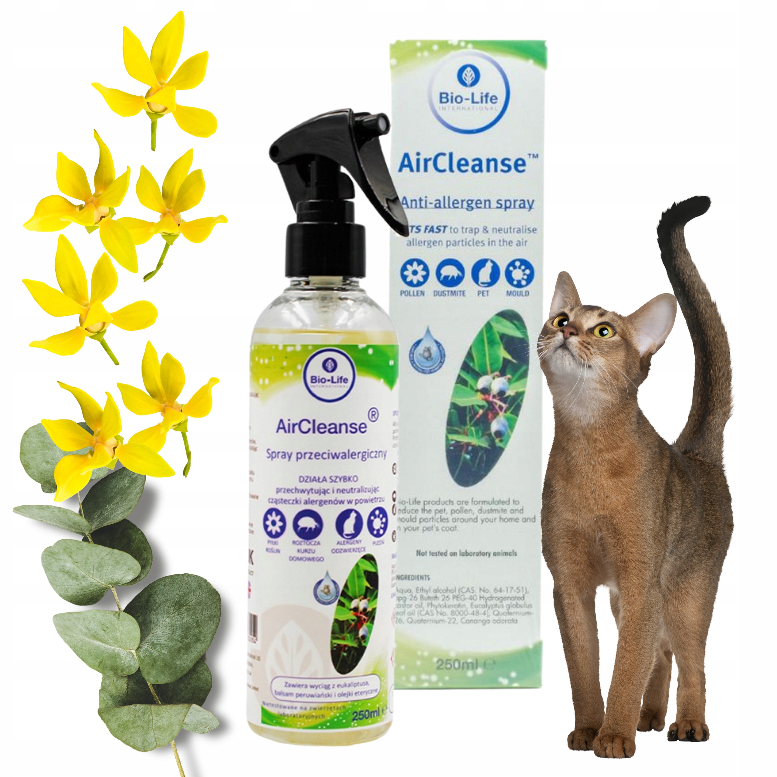 Levně Sprej Na Roztoče Alergeny Prach Antialergický 100ml Biolife Air Cleanse