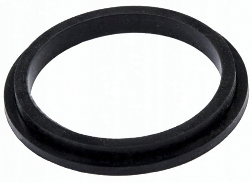 

Uszczelka Oring Do Pompy Bestway Jacuzzi Lay-z-spa