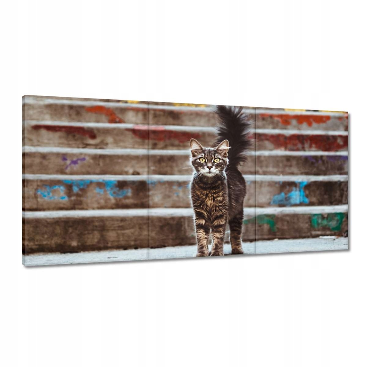 Obrazy 180x90 Mačka Mačičky Mačky Mačiatko