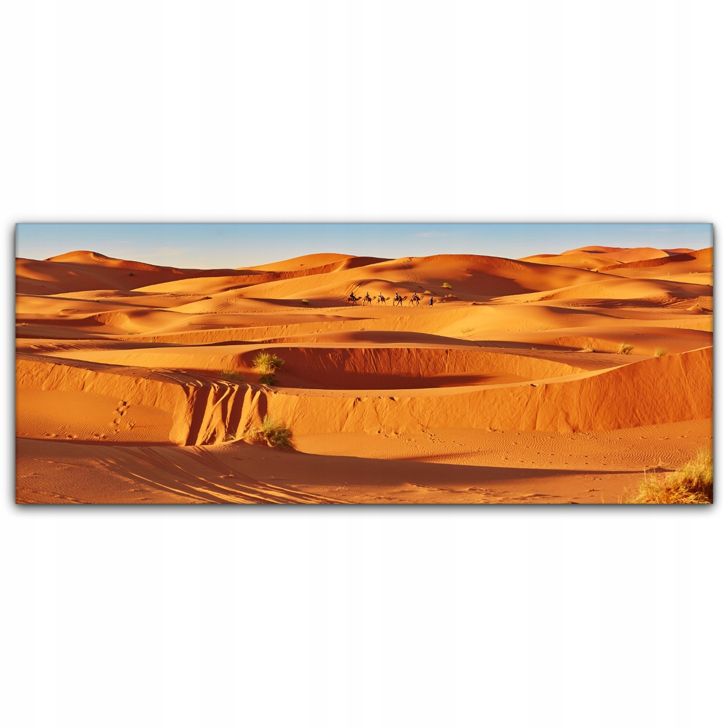 

Obraz na płótnie do salonu 125x50 Wielbłąd Sahara
