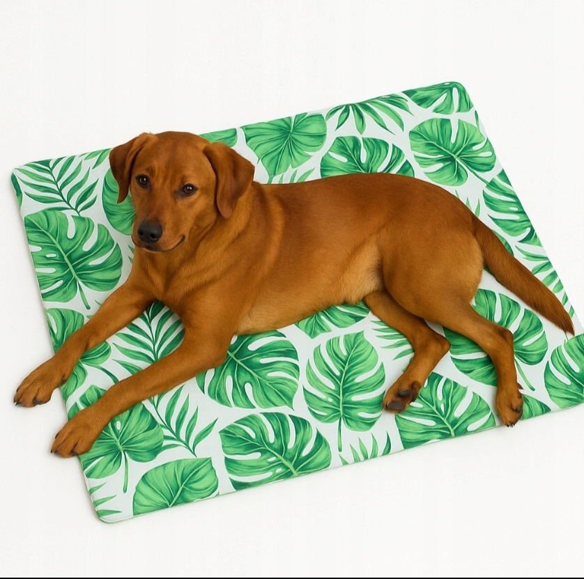 Levně Chladící podložka pro psa/kočku XL monstera