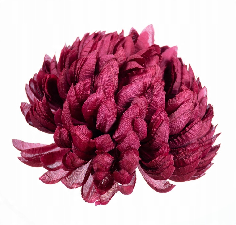 

Chryzantema ananas burgundowa wyrobowa