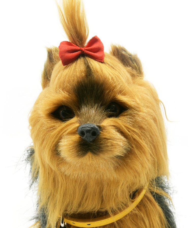 INTERAKTYWNY PIESEK JORKI YORK RUCH DŹWIĘK REAGUJE Bohater brak