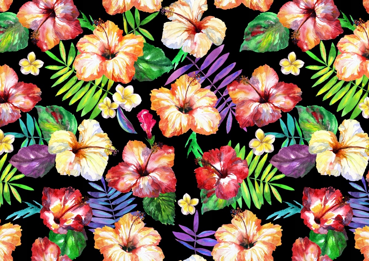 

Fototapeta Flizelinowa Kwiaty Hibiskus 312x219