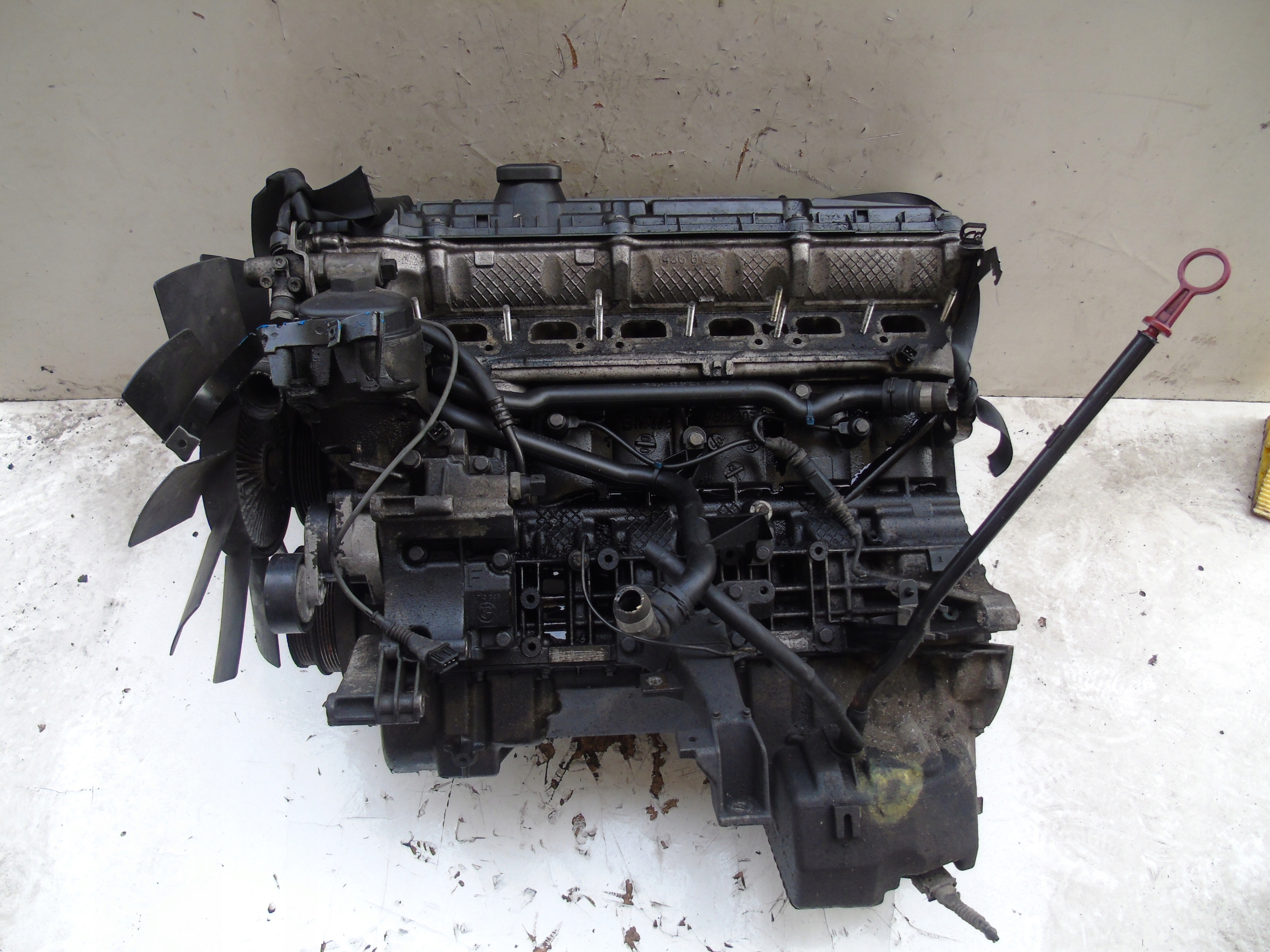 Двигатель 206s4 bmw e39 2.0