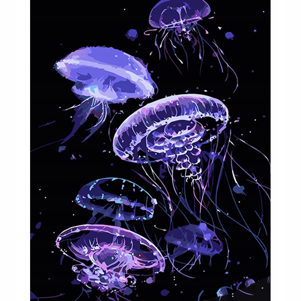 malování podle čísel Na Černém Pozadí, Medúzy Moře Neon 40x50 dárek