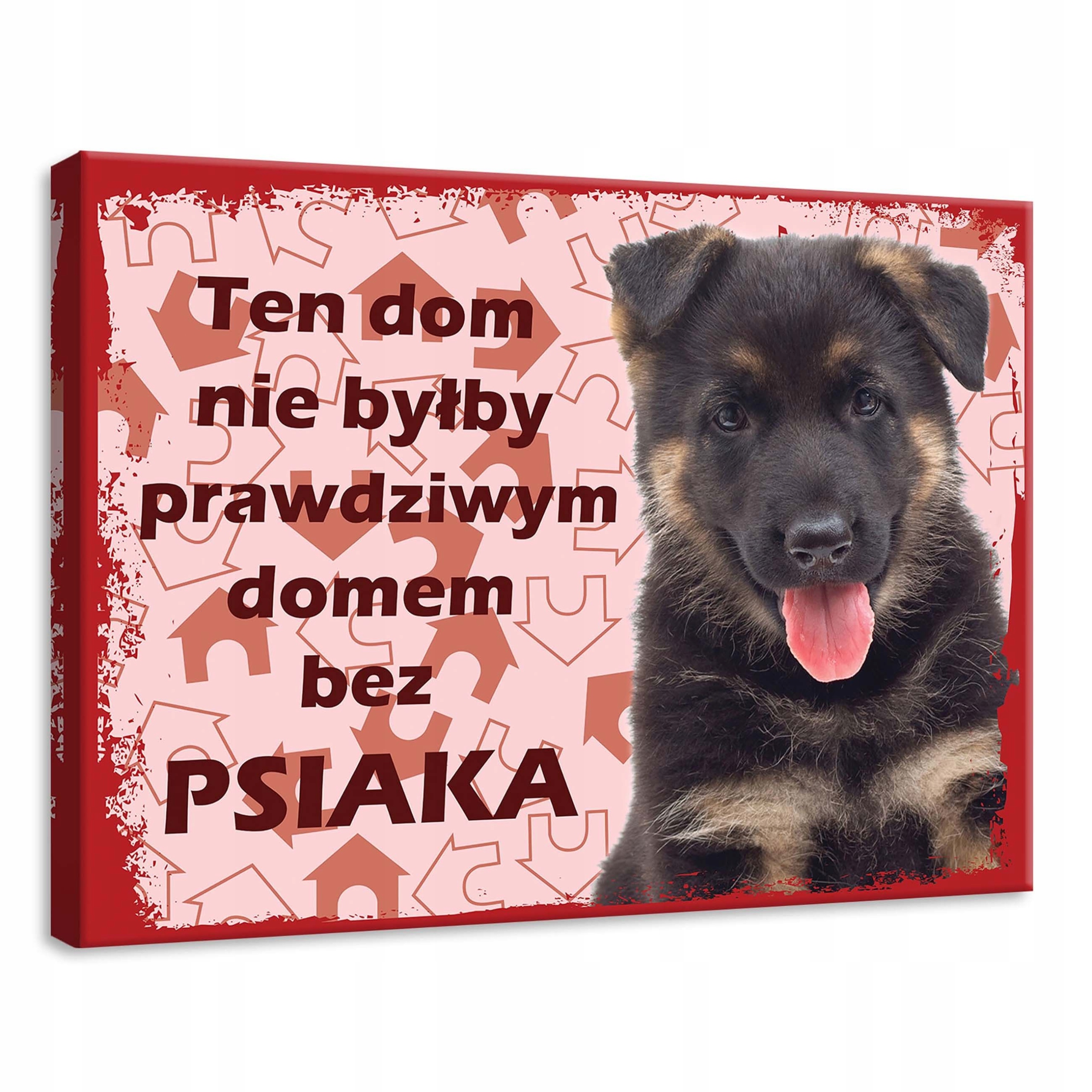 Obraz 70x50 Štěňátko pes dům láska mazlíček ovčák polský útulný