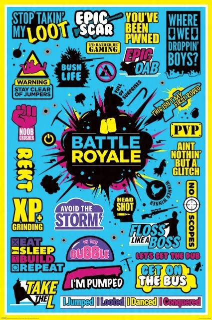 

Battle Royale Infographic - plakat 61x91,5 cm