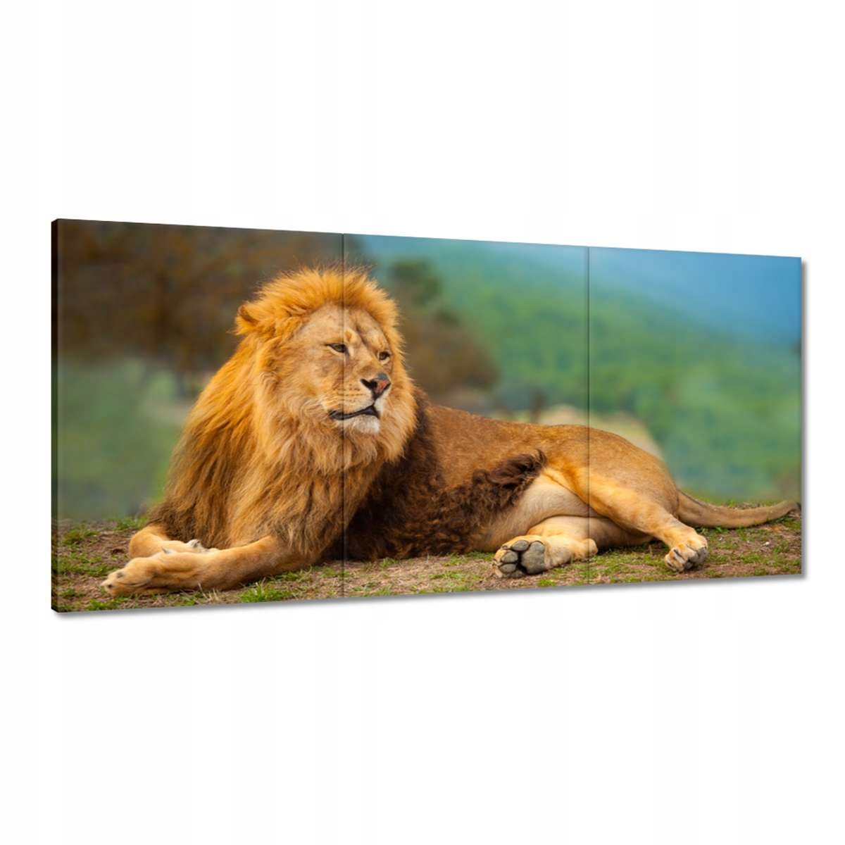 Obrazy 180x90 Lev Král zvířat Vládce