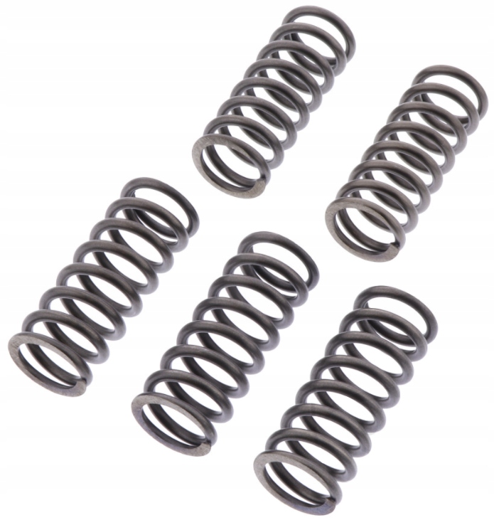 Spojkové pružiny Bmw G 310 Abs 16-20 Nové