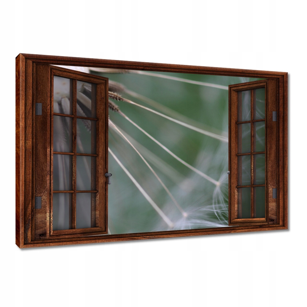 

Obrazy 120x80 Dmuchawiec Kwiat Kwiatki